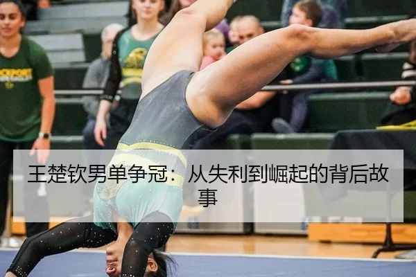 wang-chu-qin-nan-dan-zheng-guan-cong-shi-li-dao-jue-qi-de-bei-hou-gu-shi-2-624.jpg